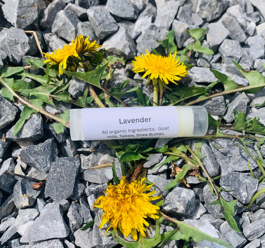 Lavender Goat Milk Lip Balm